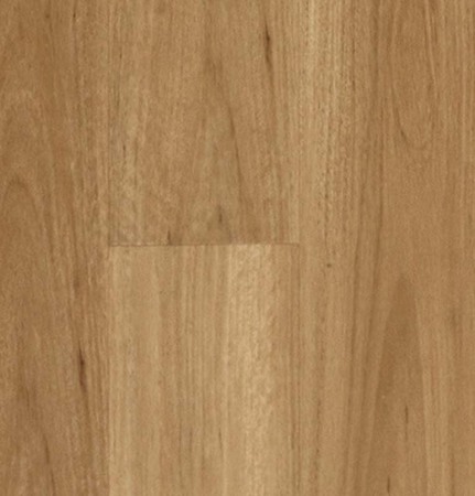 Wood Plastic Composites (WPC) Blackbutt